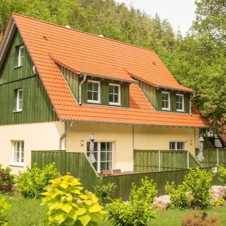 Dom wakacyjny Ferienhaeuser Ilsestein Doppelhaus, 100 Qm, 3 Schlafzimmer *