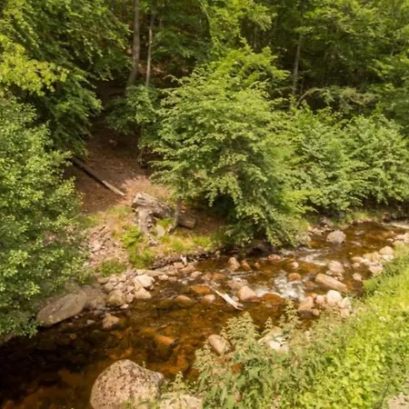 Dom wakacyjny Ferienhaeuser Ilsestein Doppelhaus, 100 Qm, 3 Schlafzimmer *