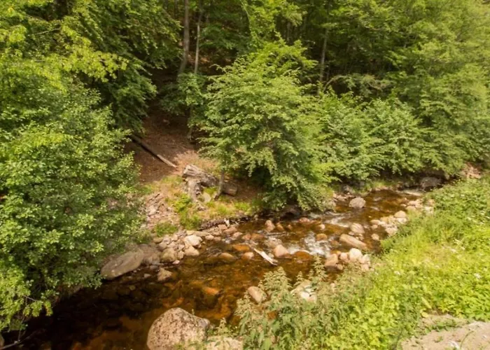 펜션 Ferienhaeuser Ilsestein Doppelhaus, 100 Qm, 3 Schlafzimmer *